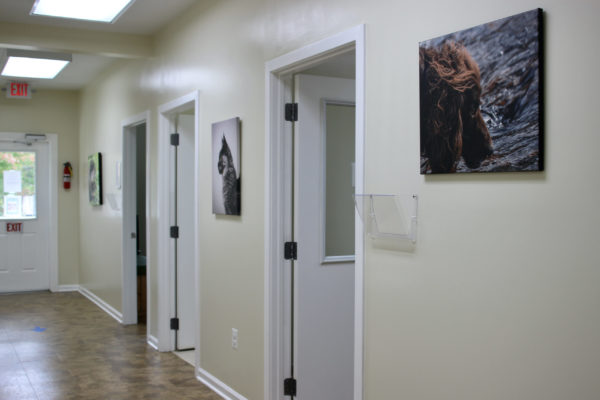 Exam room hallway